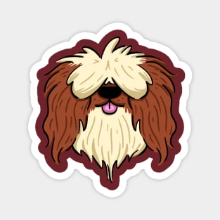 Brown mid haired shih tzu Magnet