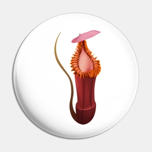 Botany Carnivorous pitcher plant Nepenthes Edwardsiana Pin