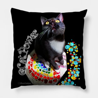 Labyrinth Cat Power Pillow