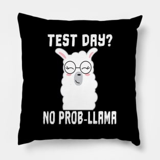 Test Day No Prob-Llama Teacher Teaching Exam Testing Pillow