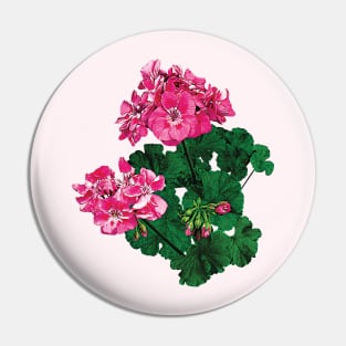 Geraniums - Pink Geraniums and Buds Pin