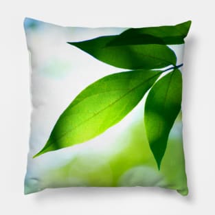 Green Leaves of the Jungle Pillow