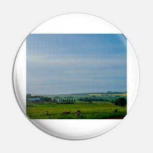 Farm with grazing cattle Pin