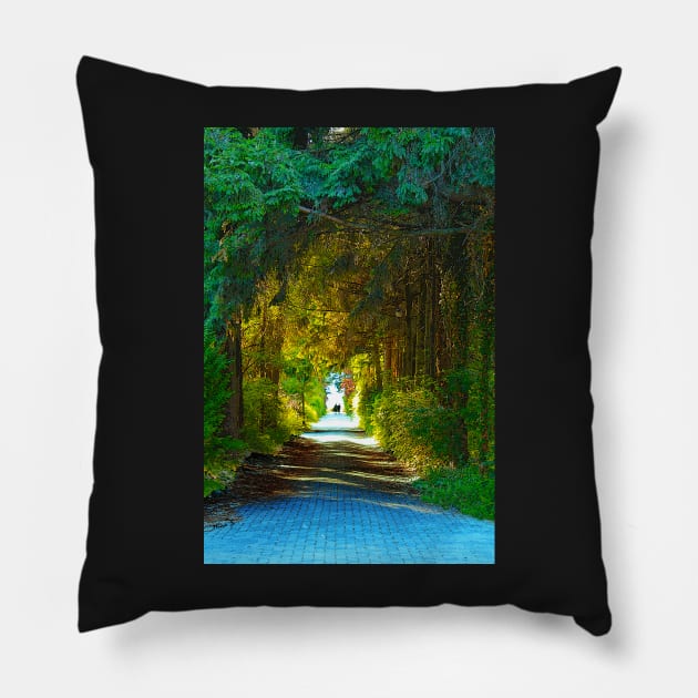 Through the Forest and Into the Light Pillow by ninasilver