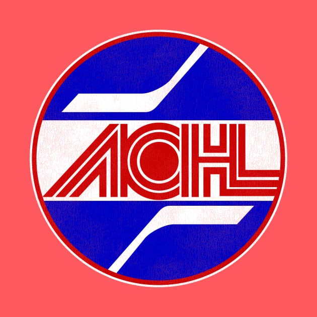 Defunct ACHL Atlantic Coast Hockey League by Defunctland