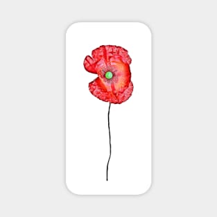 Red Poppy Magnet