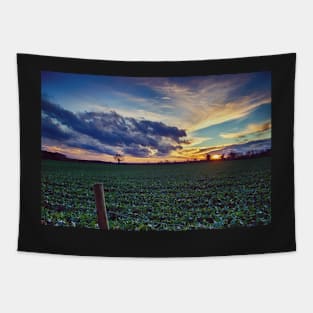 Everyday Wonders Tapestry