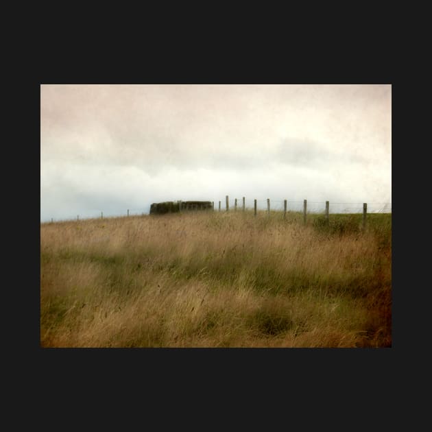 Looking up to a Sheep Pen by rosedew