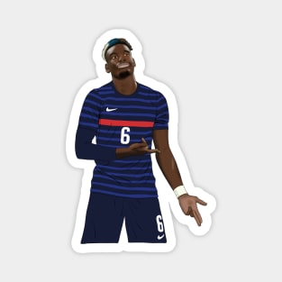 Paul Pogba Ice in his Veins France Goal Celebration Magnet