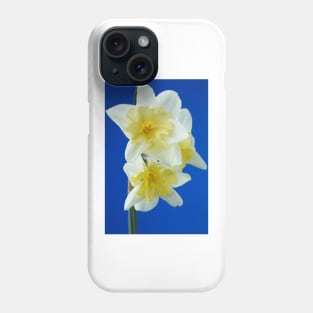 Narcissus  &#39;Prom Dance&#39;  Daffodil Phone Case