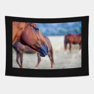 Mysteries of the equine mind Tapestry