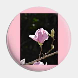 Pink Tulip Magnolia Bloom and Buds Pin