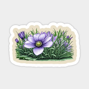 Anemone  Flowers Magnet