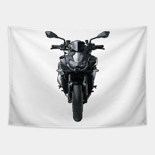 Z H2 Bike Front View Illustration Tapestry