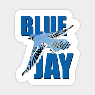 Blue Jay Magnet