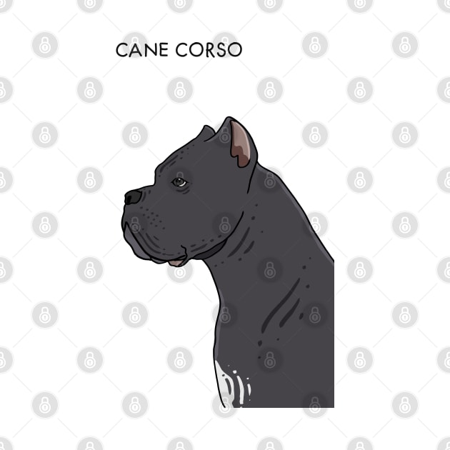 Cane Corso - Portrait by Sweet Sugar