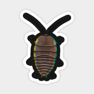 Chromatic Botany Bay Cockroach (Polyzosteria limbata) Magnet