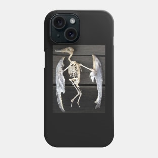 Found bird Skeleton - Photography  by Avril Thomas - Adelaide / South Australia Artist Phone Case