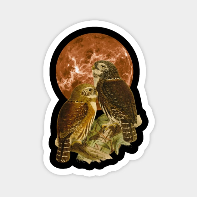 Full Moon Owls Magnet by Orange Pyramid