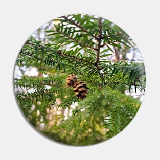 Baby Pinecones Pin