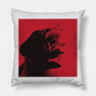 vintage album Pillow