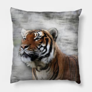 Siberian Tiger - 03 Pillow