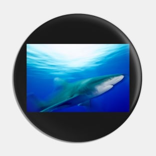 Oceanic White Tip Shark in Motion Pin