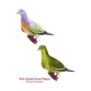 Pink-necked Green Pigeon | Treron vernans ⚥ T-Shirt