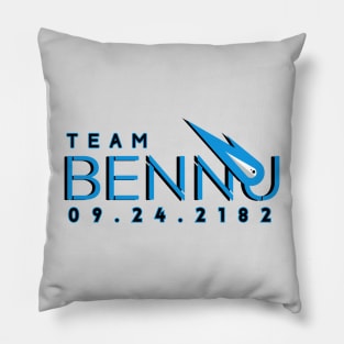 Team Bennu - Asteroid Impact Research Team Pillow