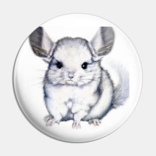 cute chinchilla 4 Pin