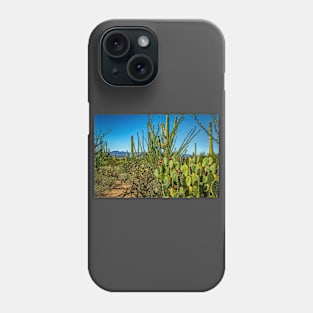 Saguaro National Park Phone Case