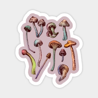 Magic Mushrooms Magnet