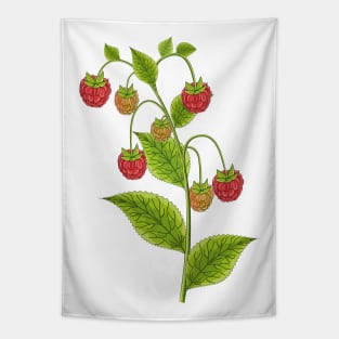 Raspberry Art Tapestry