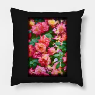 Rose 367 Pillow