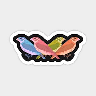 4 Colour Birds Magnet