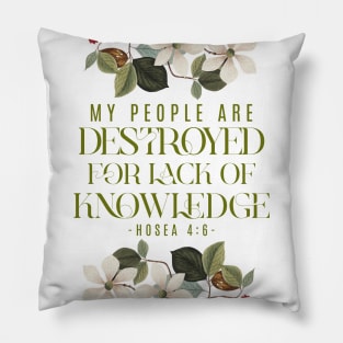 My people are destroyed for lack of knowledge. (Hosea 4:6) Pillow