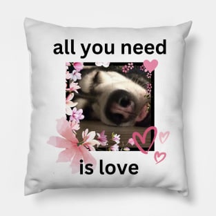 Funny Cute Sleeping Husky Dog Love Quote Pillow