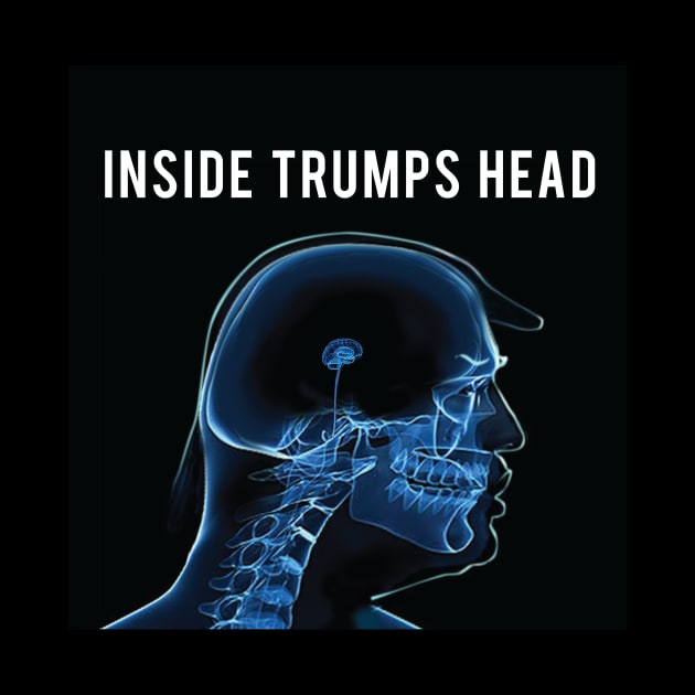 Inside Trumps Head by DavidLoblaw