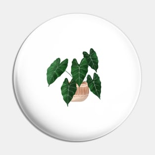 Potted plants illustration Pin