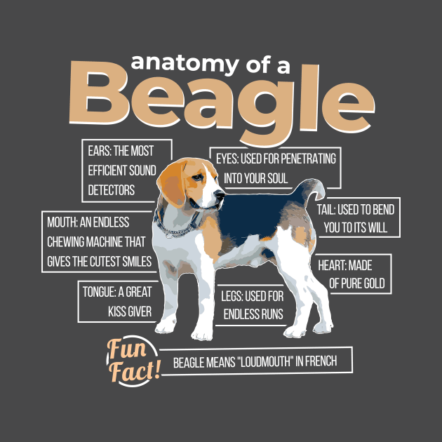 Anatomy of a Beagle by dan89