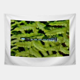 Damselfly Tapestry