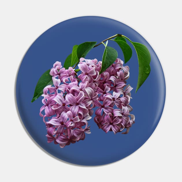 Lilacs - Pink Lilac Duo Pin by SusanSavad