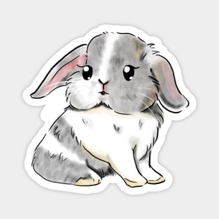 Grey and White Rabbit _ Bunniesmee Magnet