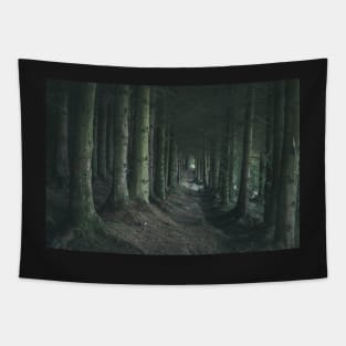 Light in the end of dark forest Tapestry