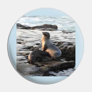 Wildlife gifts, California sea lion, marine life, nature Pin