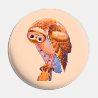 Cute Cartoon Owl Pin