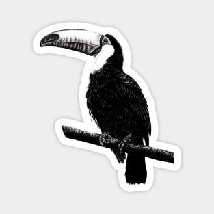 Toco toucan illustration Magnet