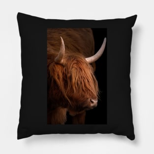 Scottish Highland Cow Pillow