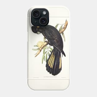 Funereal Cockatoo (Calyptorhynchus funereus) Phone Case