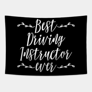 Best Driving Instructor Ever Gifts Car Driver Parking Exam Tapestry